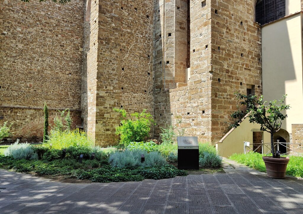 orto di francesco. a herbal monastic garden behind the church of santa croce in Florence