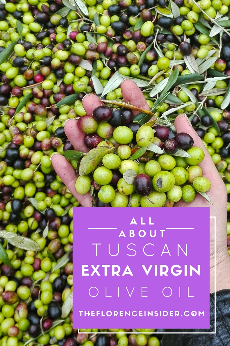 How Is Olive Oil Made? (& What “Extra Virgin” Really Means)