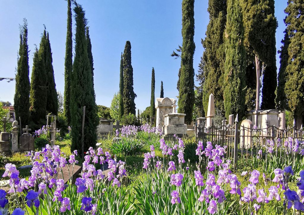 tombstones, sculptures and iris flowers at the english cemetery of Florence