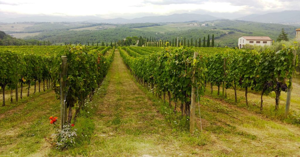 chianti san casciano vineyards tuscany