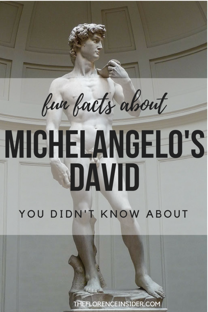 fun facts about Michelangelo's David you didn't know about