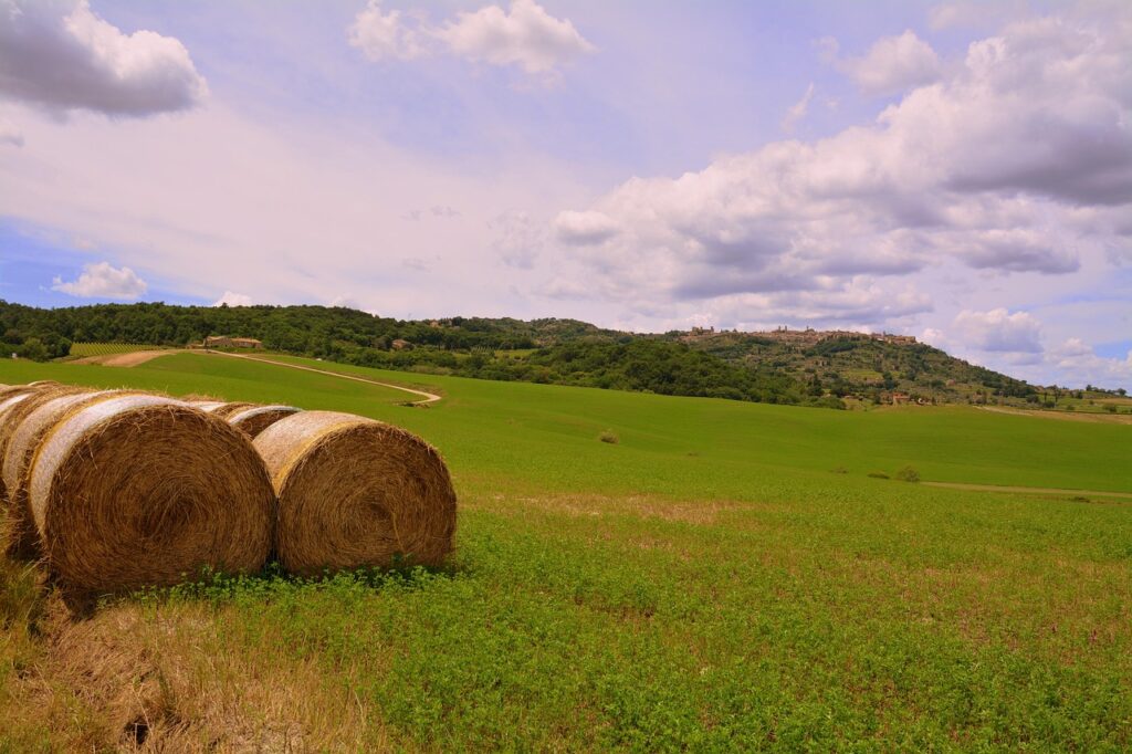 rolling hills of Tuscany with round bales and a blue sky