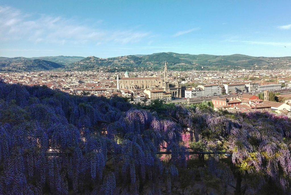 view of the city from the wisteria