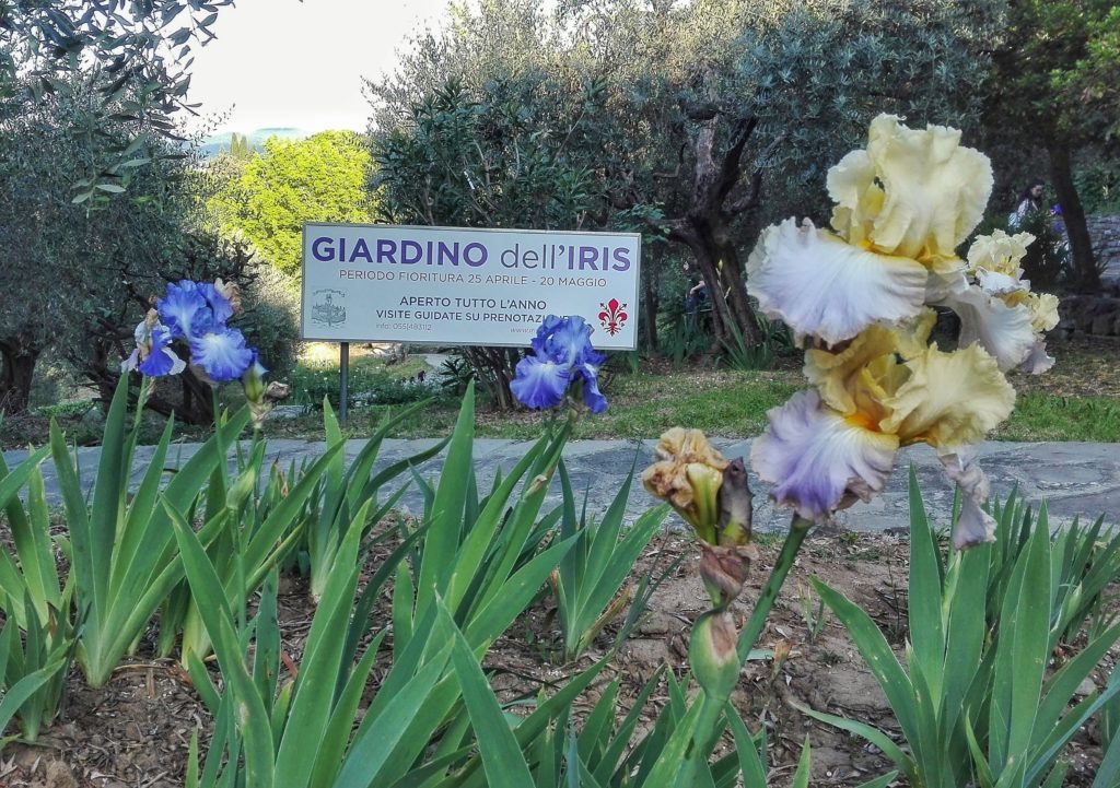 entrance path with sign and irises in bloom