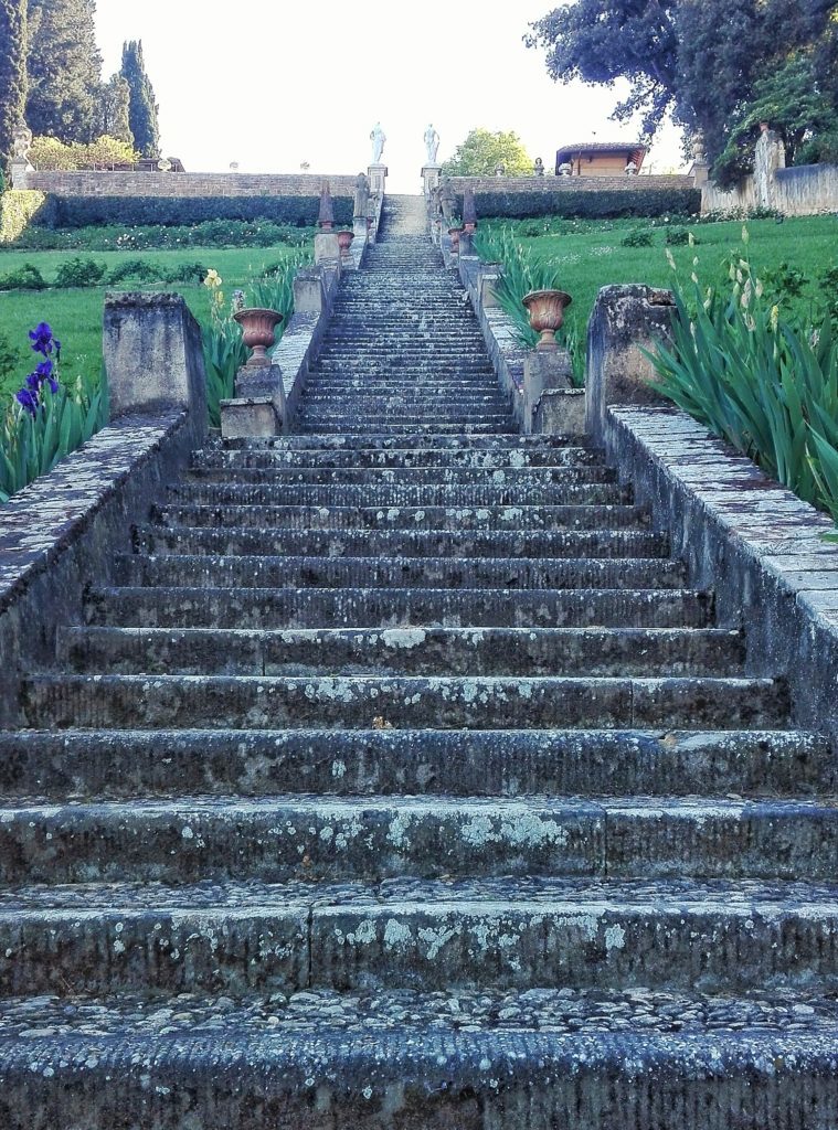 stone staircase with irises