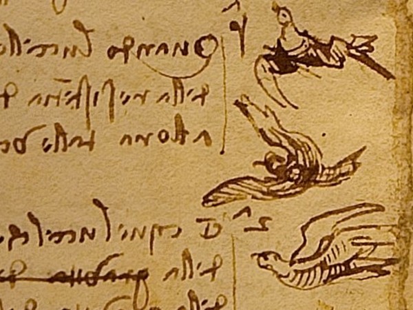 codex on the flight of birds by Leonardo