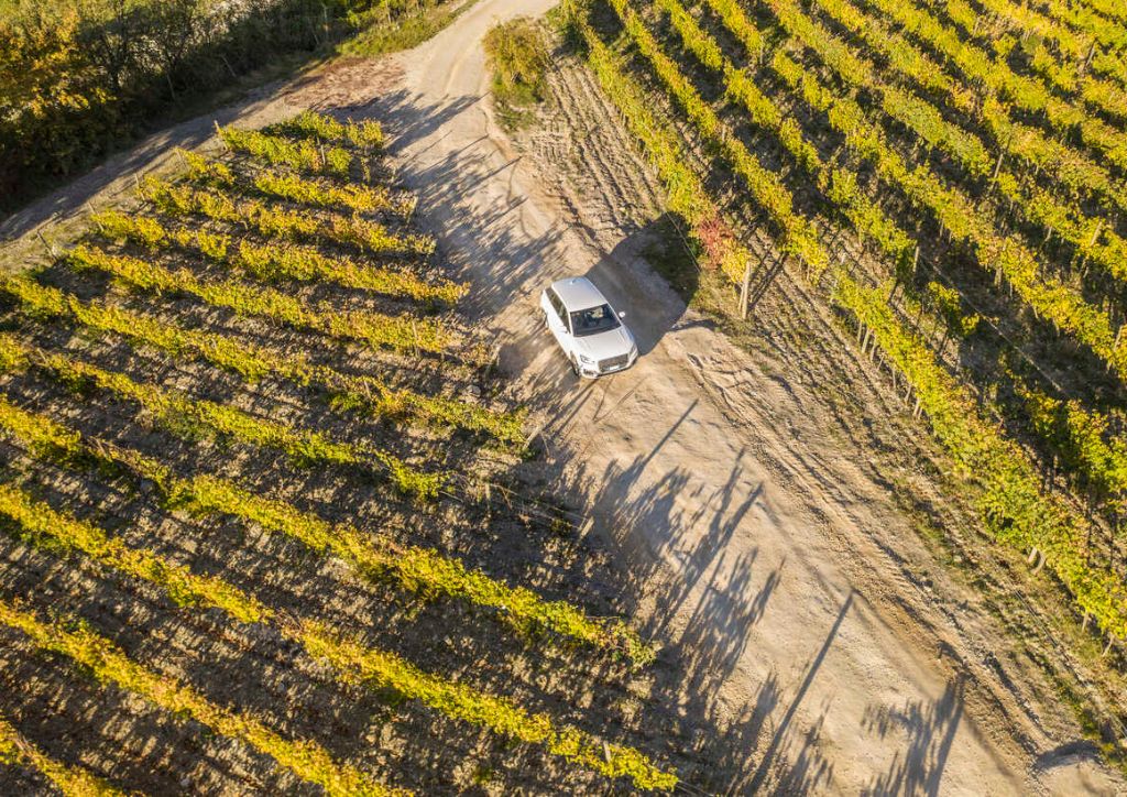 driving among the vineyards in Chianti