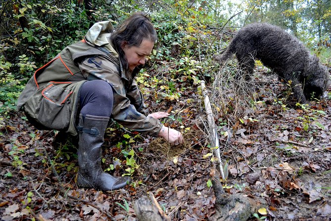 truffle hunting experience in florence