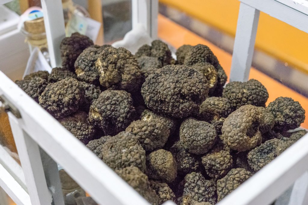 black truffles in Tuscany, Italy