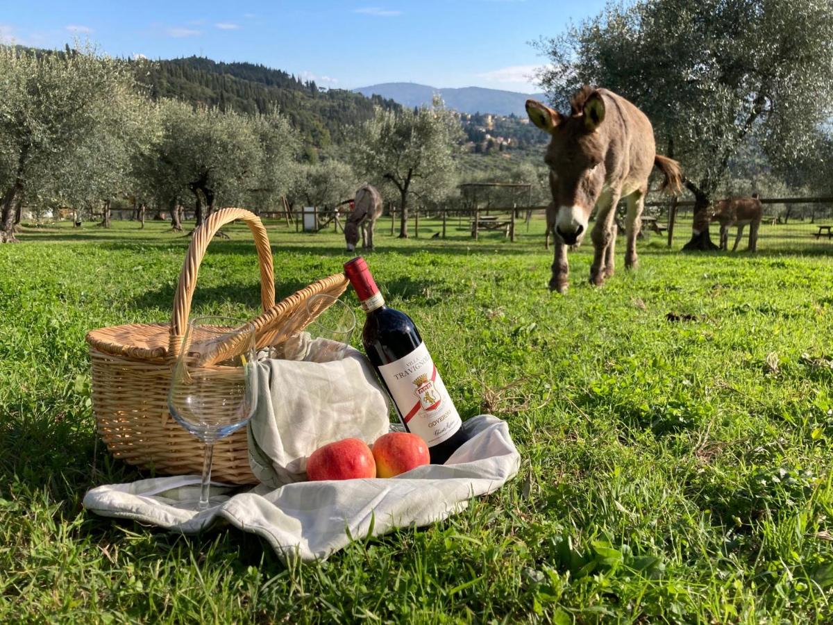 Best Agriturismo near Florence for a countryside escape