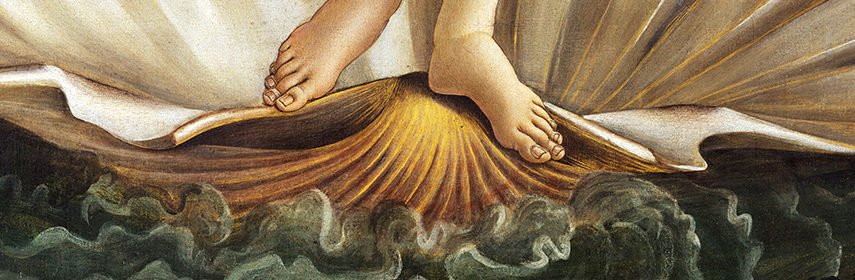 feet of venus by Botticelli on the scallop sea shell