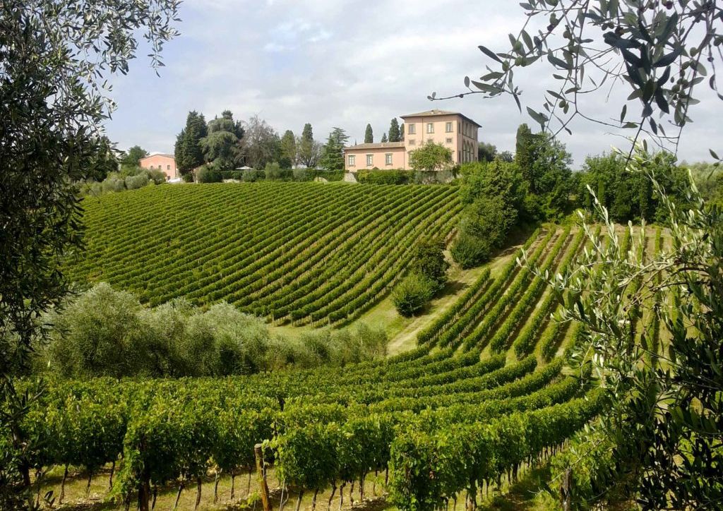 vineyard in Chianti, Tuscany, with a country villa