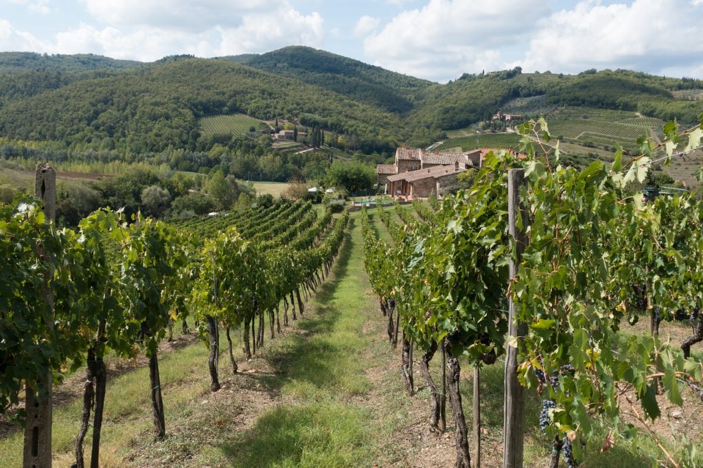 day trip to chianti from Florence